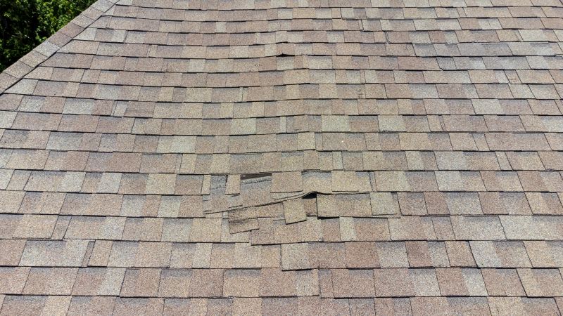 Expert Inspection of Roof Damage